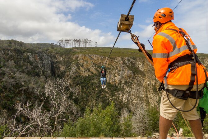 Knysna Ziplines Tour - Family appeal, with a real thrill attached
