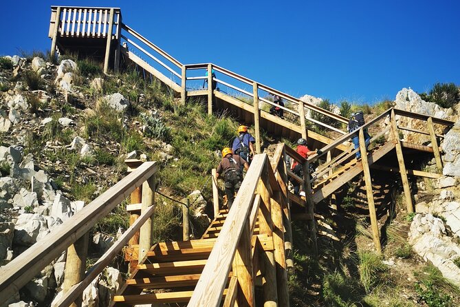 Knysna Ziplines Tour - Price, timing, and the extra cost to watch