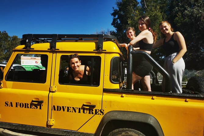 Knysna Ziplines Tour - Photos, phones, and what to bring