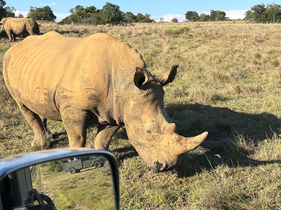 KRAGGA KAMMA GAME PARK - The animals you may see