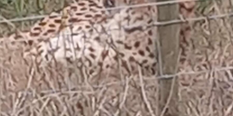 KRAGGA KAMMA GAME PARK - Wheelchair access and who will enjoy it most