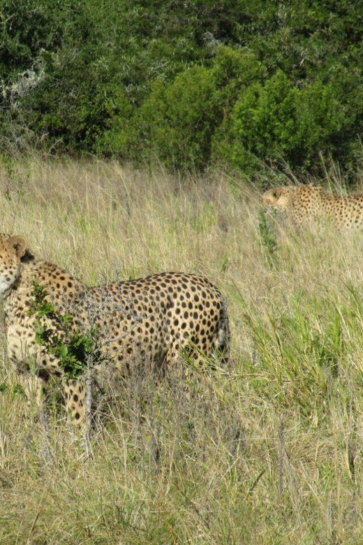 Kragga Kamma Game Park - Snacks are included, but lunch is not