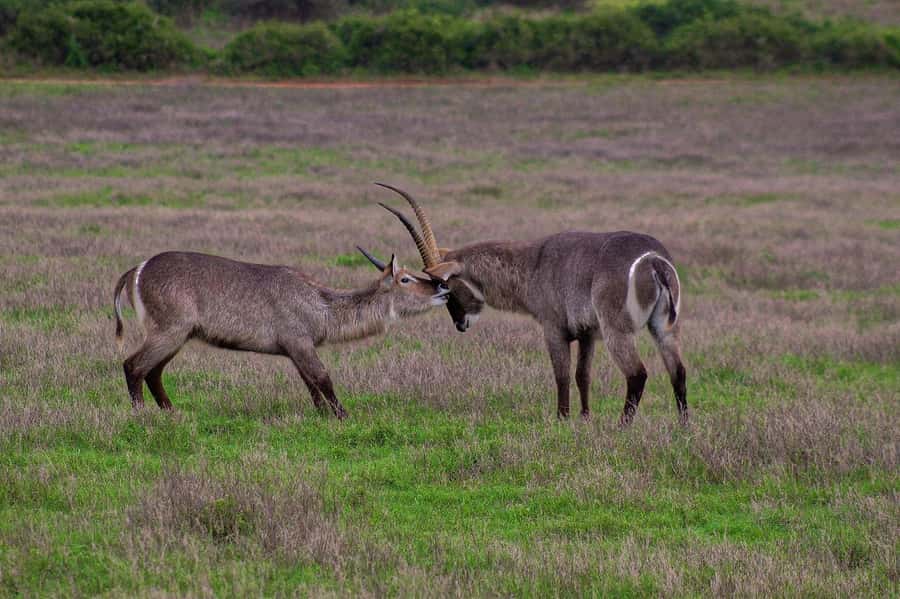 Kragga Kamma Game Park - Who will enjoy this park most?