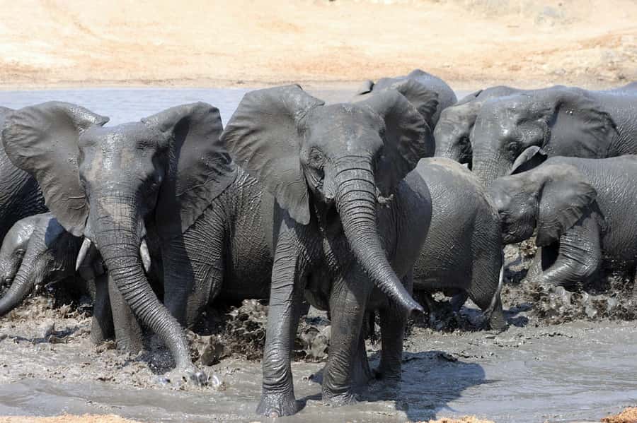 Kruger National Park: 3 Day Safari Tour - Key points at a glance