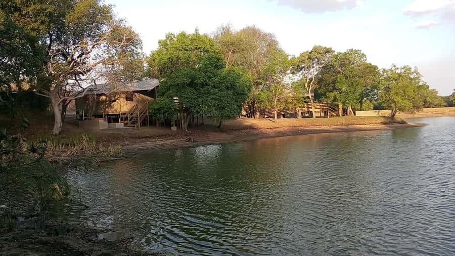 Kruger National Park: 3 Day Safari Tour - Who should book this safari?