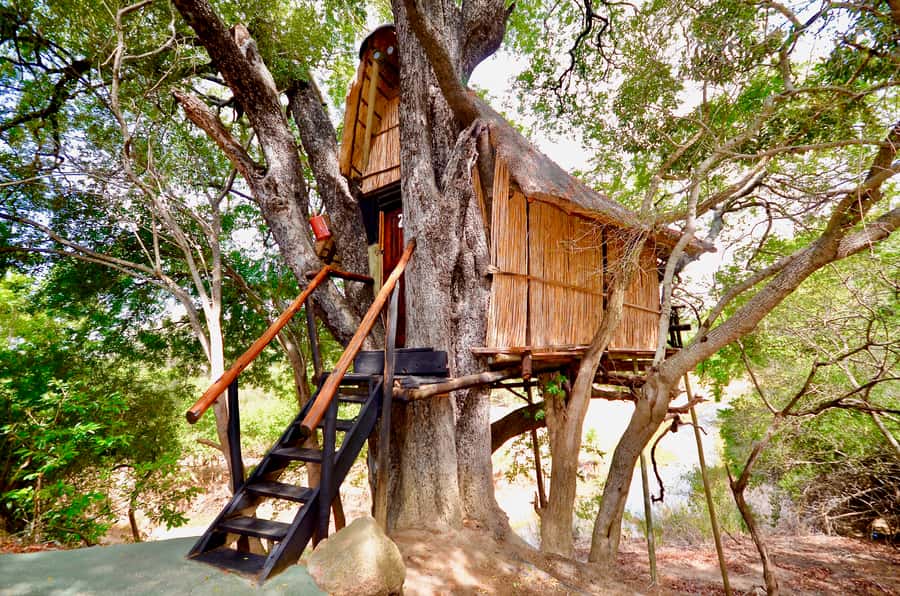Kruger National Park: 3-Day Safari Tour and Treehouse Stay - Key points to know before booking