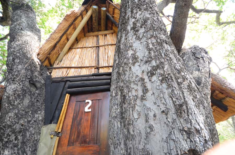 Kruger National Park: 3-Day Safari Tour and Treehouse Stay - Practical tips for a smoother three days