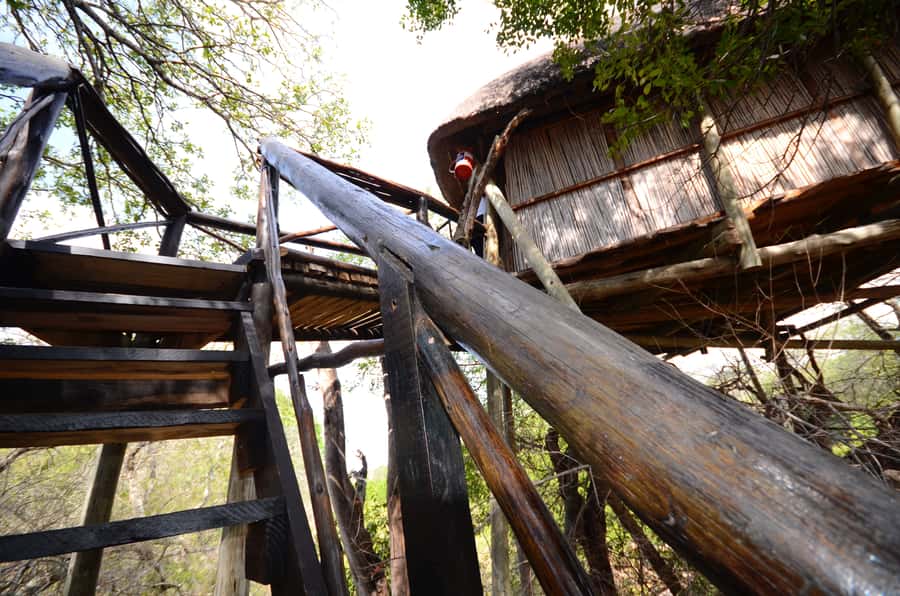 Kruger National Park: 3-Day Safari Tour and Treehouse Stay - A compact safari from Johannesburg to the Lowveld