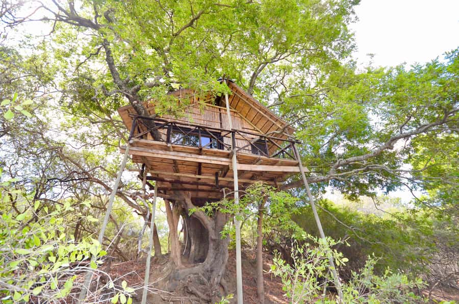 Kruger National Park: 3-Day Safari Tour and Treehouse Stay - The Marula Tree Boma barbecue