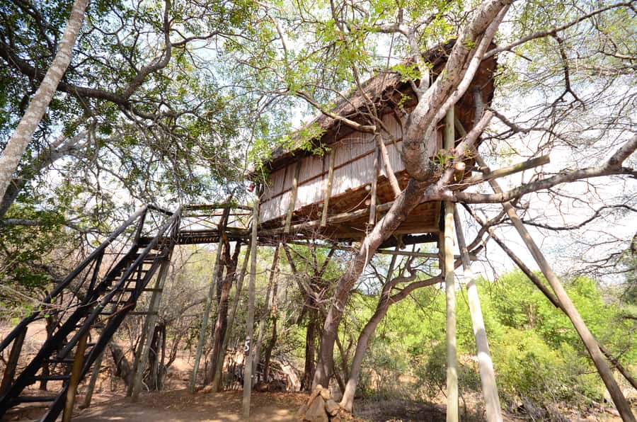 Kruger National Park: 3-Day Safari Tour and Treehouse Stay - The treehouse question: treat the name carefully