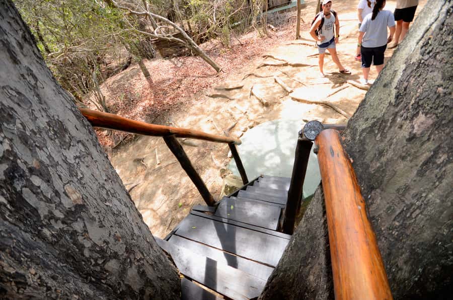 Kruger National Park: 3-Day Safari Tour and Treehouse Stay - Day three: a sunrise walk and the Panorama Route