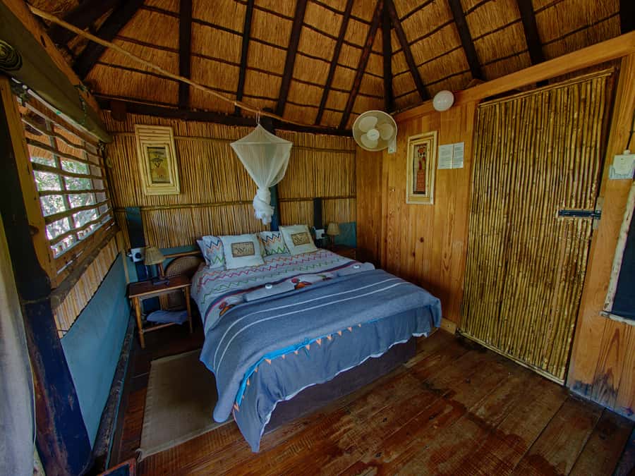 Kruger National Park: 3-Day Safari Tour and Treehouse Stay - What the $890 price really covers