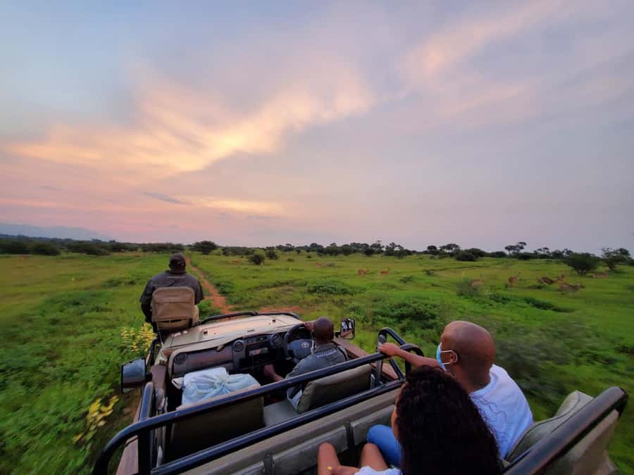 Kruger National Park: 3 Day Safari Tour - Day 1: The long road from Johannesburg to Hoedspruit