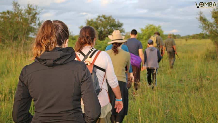 Kruger National Park: 3-Hour Walking Safari - Looking for rhinos, elephants, and lions