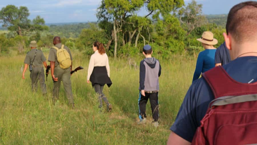 Kruger National Park: 3-Hour Walking Safari - Touching plants and learning their uses