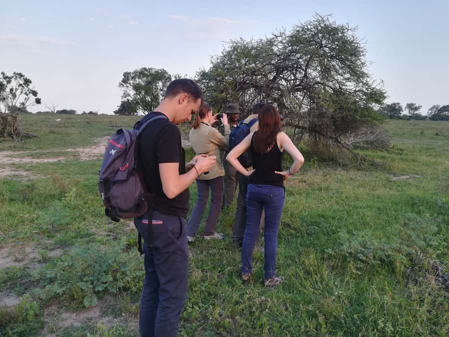 Kruger National Park: 3-Hour Walking Safari - Group size, fitness, and practical preparation