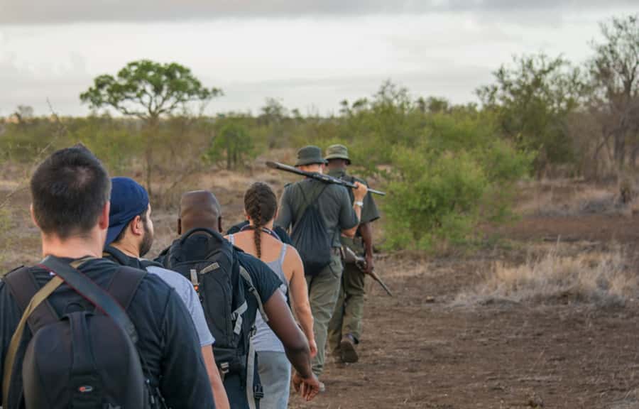 Kruger National Park: 3-Hour Walking Safari - Who will enjoy this experience most