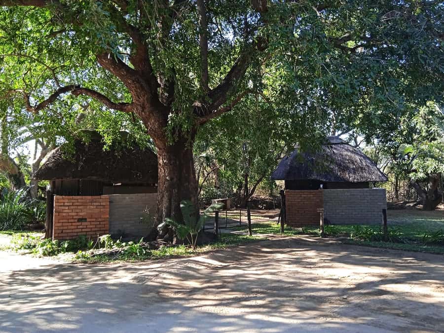 Kruger National Park - 4 Day Safari Tour - Day 3: The main event inside Kruger National Park