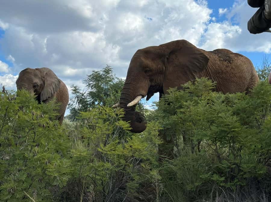 Kruger National Park: 4-Day Ultimate Safari Tour - What the lodge adds to the safari
