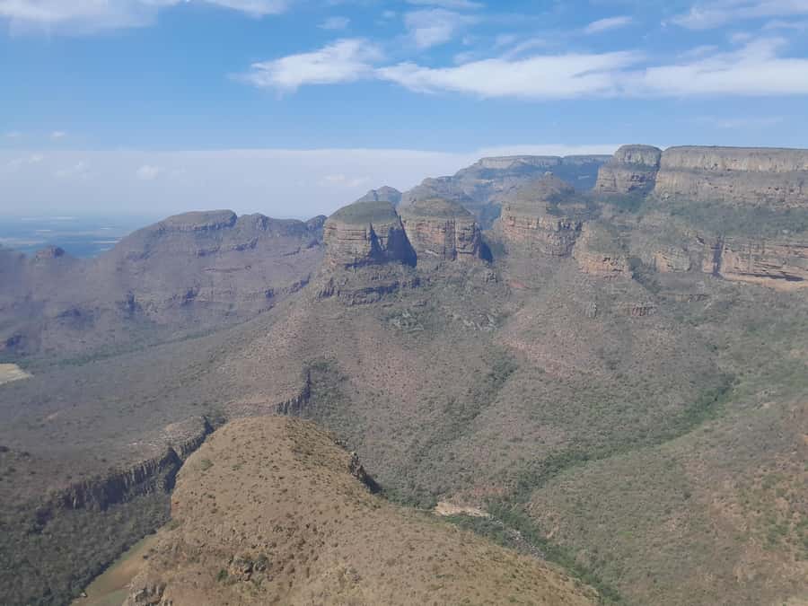 Kruger National Park: 4-Day Ultimate Safari Tour - Day four: one last morning drive, then Johannesburg