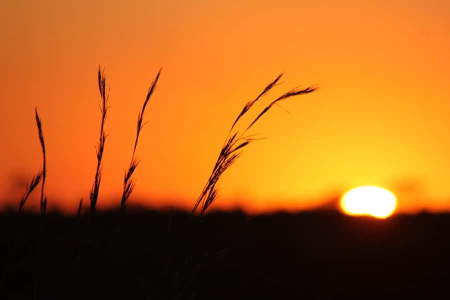 Kruger National Park - 5 Day Safari Tour - Why this safari works as a five-day trip