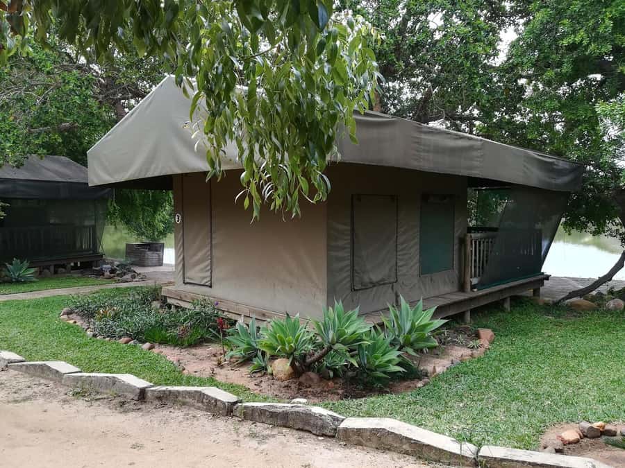 Kruger National Park - 5 Day Safari Tour - Group size, guides, and the feel of the trip