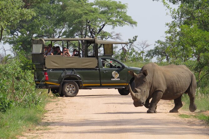 Kruger National Park Afternoon Private safari - Key points to know before booking