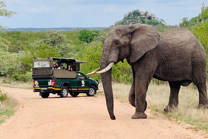 Kruger National Park Afternoon Private safari - Why an afternoon in Kruger works