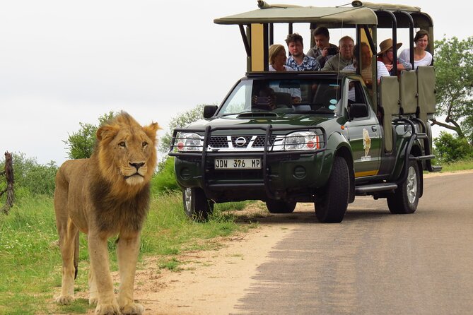 Kruger National Park Afternoon Private safari - The wildlife you might find