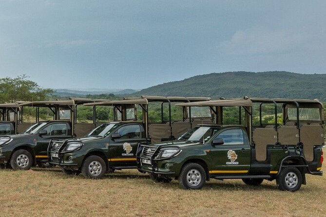 Kruger National Park Afternoon Private safari - The value of the $131.13 price