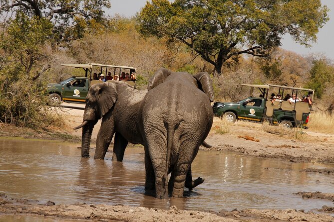 Kruger National Park Afternoon Private safari - What the private vehicle changes