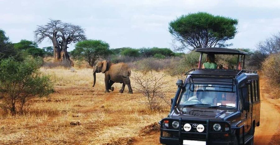 Kruger National Park & Blyde River Canyon 4 Day Safari - Why this four-day combination works