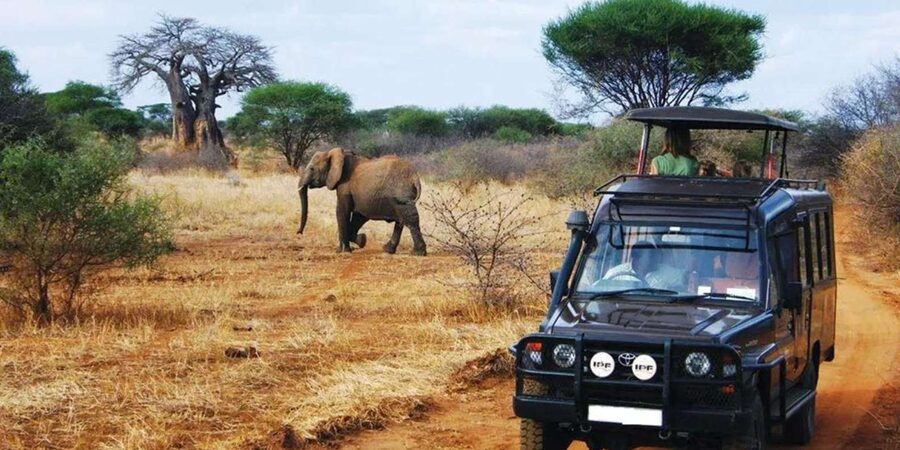 Kruger National Park & Blyde River Canyon 4 Day Safari - Day 2: a full Kruger safari before breakfast