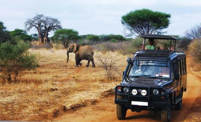 Kruger National Park & Blyde River Canyon 4 Day Safari - Day 4: Mpumalanga villages and the return to Johannesburg