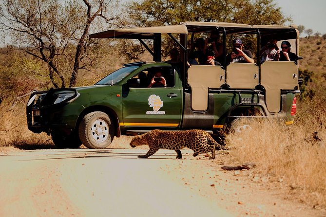 Kruger National Park Full Day Private safari - Why a private Kruger safari changes the day