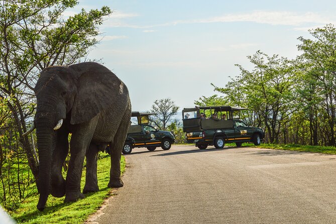 Kruger National Park Full Day Private safari - Driving through Kruger with a guide