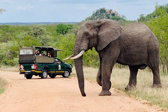 Kruger National Park Full Day Private safari - Breakfast at a rest camp
