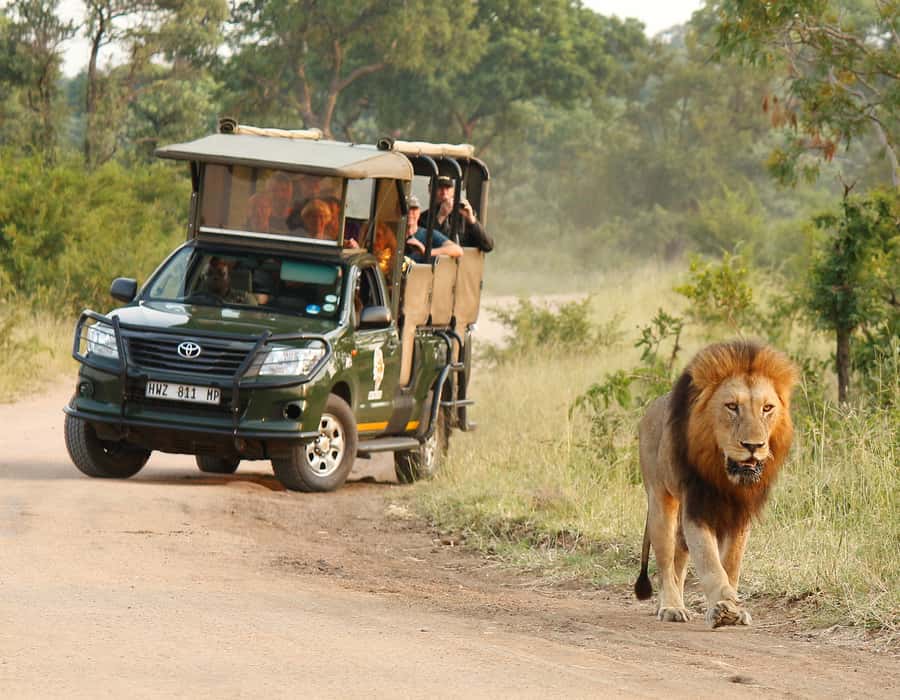 Kruger National Park: Full-Day Private Safari With Pickup - Key points at a glance