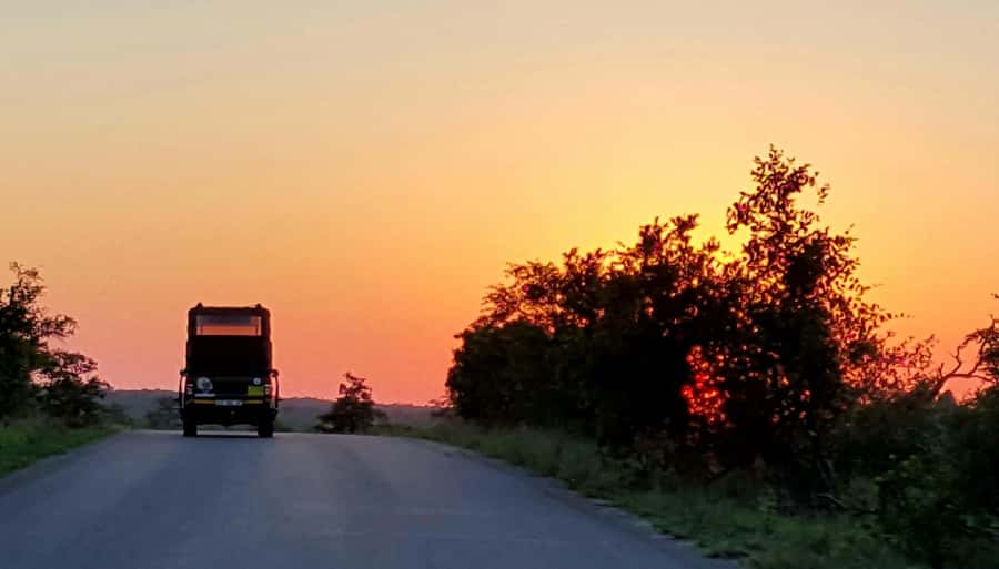 Kruger National Park: Full-Day Private Safari With Pickup - The private vehicle changes the day
