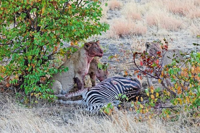 Kruger National Park Full Day Tour Minimum 2people - Who will enjoy this Kruger day