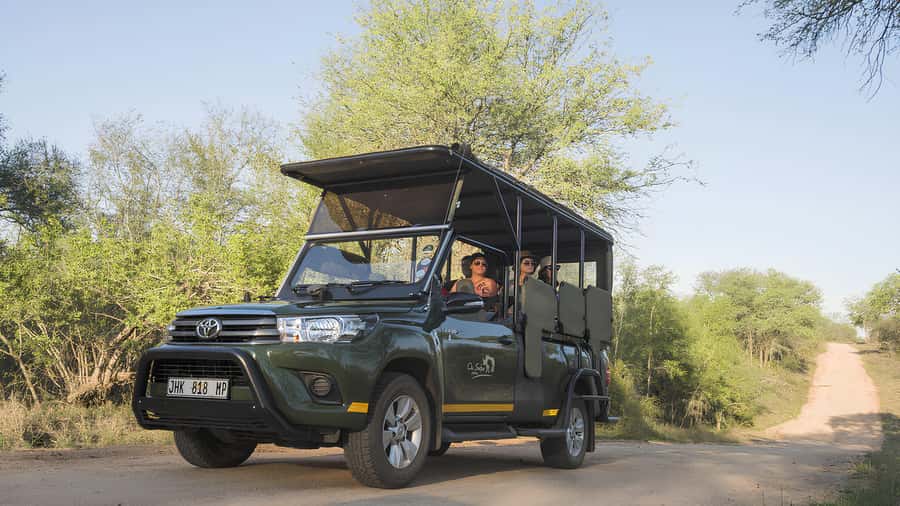 Kruger National Park Game Drive (Half-Day PM) - An afternoon start in Kruger National Park
