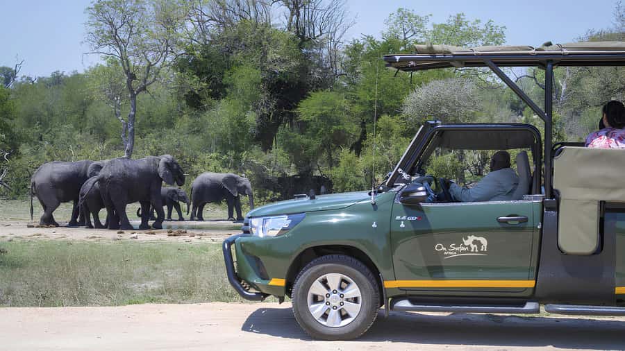 Kruger National Park Game Drive (Half-Day PM) - Why an open vehicle changes the safari