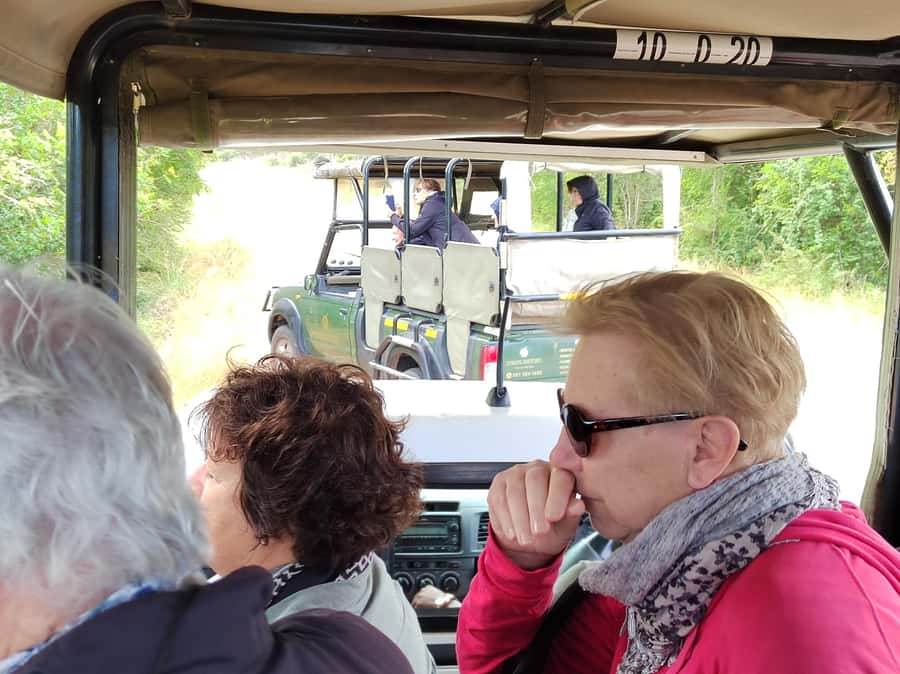 Kruger National Park half day - Five and a half hours of searching for wildlife