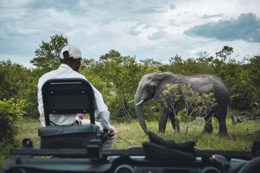 Kruger National Park half day - Comfort, weather, and what to bring