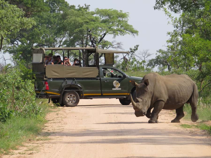 Kruger National Park: Morning Safari - Why a morning safari works well in Kruger