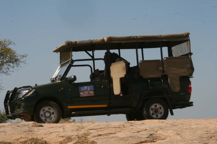 Kruger National Park Morning Safari - A bush lesson beyond the animals