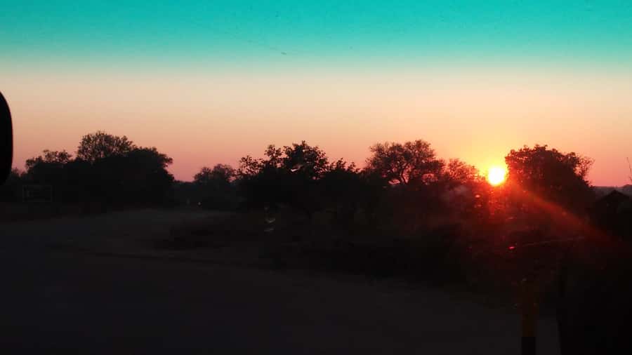 Kruger National Park Morning Safari - Open vehicle or air-conditioned vehicle?