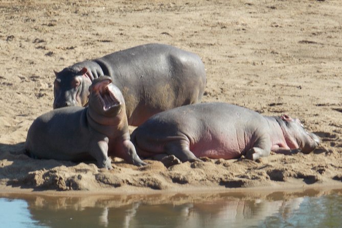 Kruger National Park - Private Sunrise Half day Safari trip. - The rest camp comfort stop