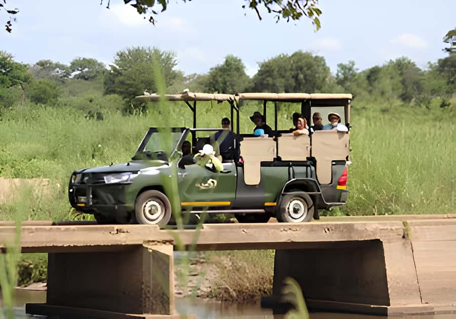 Kruger National Park Safari (Full Day) - A full day in Kruger, not a quick peek