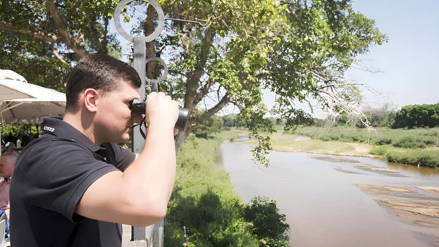 Kruger National Park Safari (Full Day) - Food, water, and comfort during the day